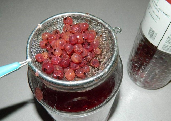 Wie Sie einen Aufguss aus roten Johannisbeeren herstellen