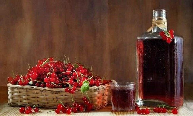 Wie Sie einen Aufguss aus roten Johannisbeeren herstellen
