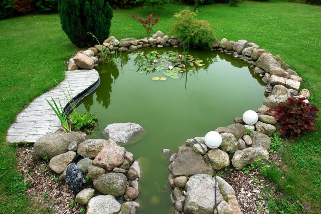 Wie man selbst einen Teich im Garten anlegt