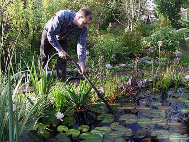 Wie man selbst einen Teich im Garten anlegt