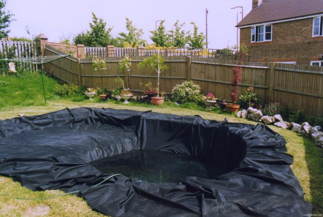 Wie man selbst einen Teich im Garten anlegt