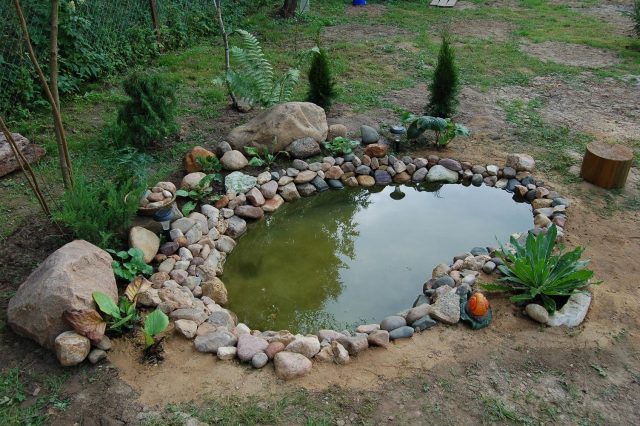 Wie man selbst einen Teich im Garten anlegt