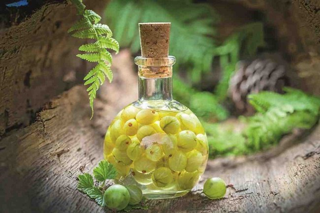 Stachelbeeransatz auf Wodka