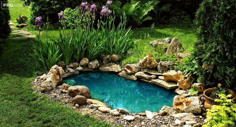 Originelle Gestaltung des Gartengrundstücks: Ideen mit Fotos