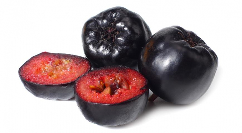 Apfelbeere: Herbst – Zeit für die Pflanzung von Aronia