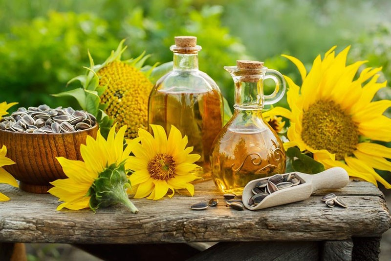Wie unterscheiden Sie Öl- und Süßwarensorten der Sonnenblume?