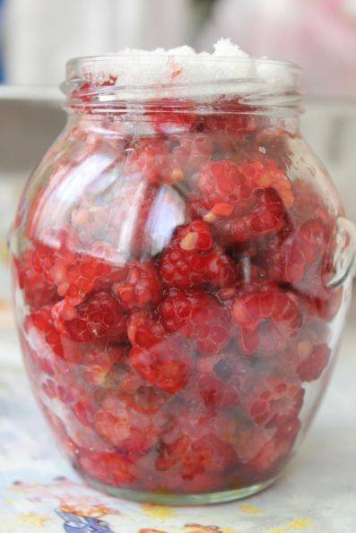 Wie man Himbeeren im eigenen Saft zubereitet