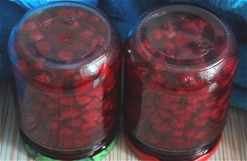 Wie man Himbeeren im eigenen Saft zubereitet