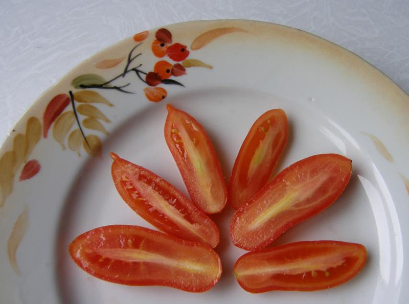 Originelle Tomatensorte Fljaschen mit flaschenförmigen Früchten