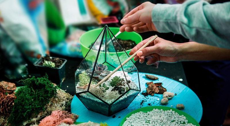 Wie man selbst ein Florarium baut, anschauliche Tipps für Anfänger