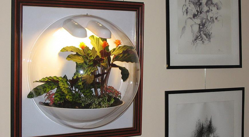 Wie man selbst ein Florarium baut, anschauliche Tipps für Anfänger