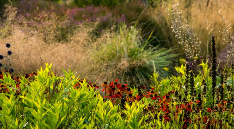 Vollständige Pflanzenliste für ein Blumenbeet im Oudolf-Stil der Neuen Welle