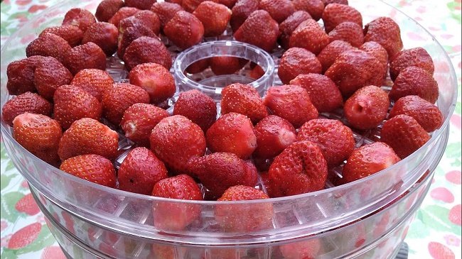 Erdbeerrezepte