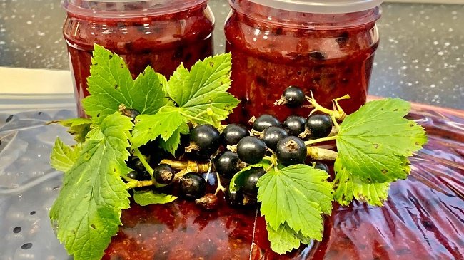 Wintervorräte aus schwarzen Johannisbeeren