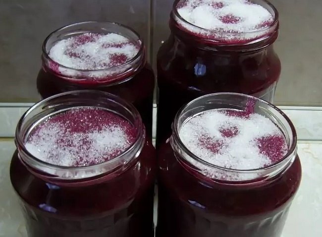 Wintervorräte aus schwarzen Johannisbeeren