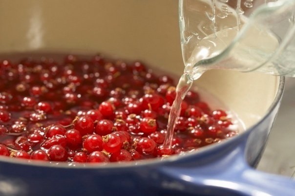 Rezepte für Kissel aus roten Johannisbeeren