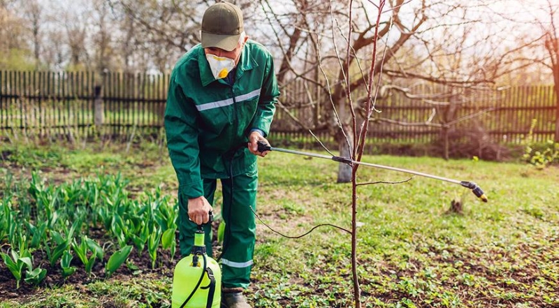 Gartenapotheke: wichtige Präparate für April
