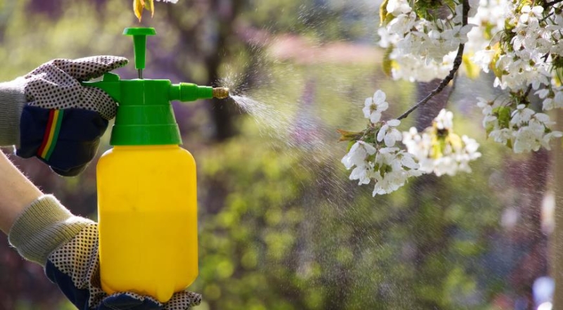 Gartenapotheke: wichtige Präparate für April