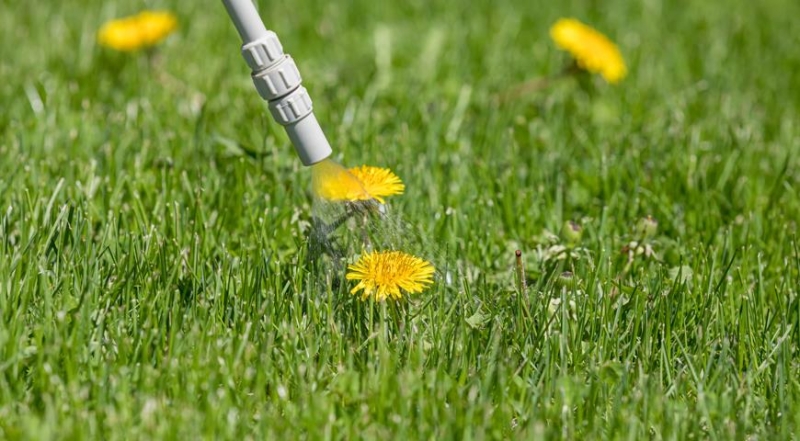 Gartenapotheke: wichtige Präparate für April
