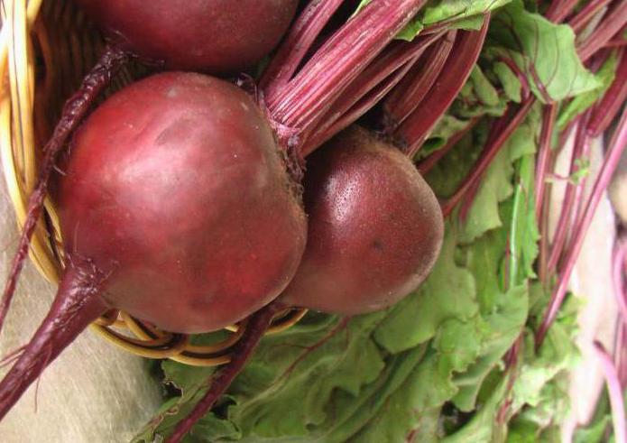 Rübensamen – beste Sorten für Freiland