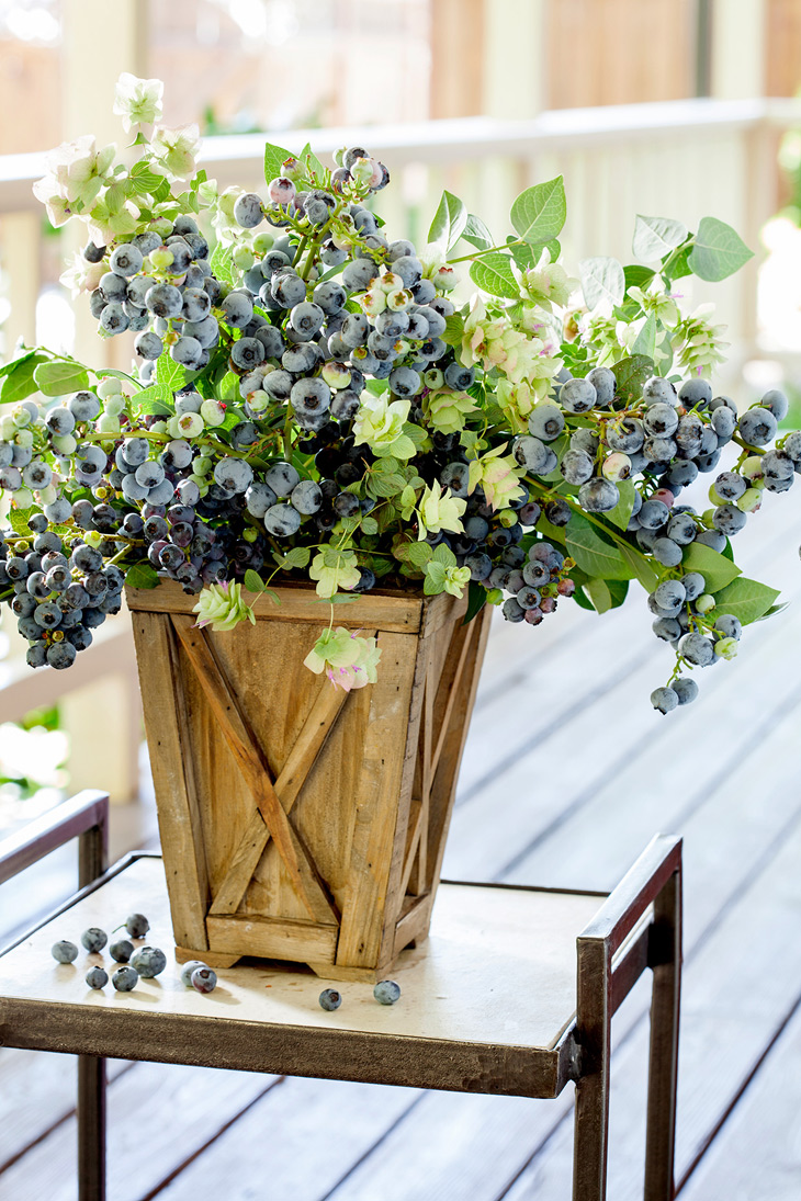 Anbau von Blaubeeren im Topf