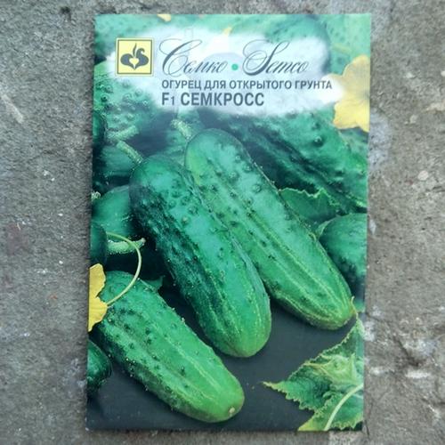 Frühreife Gurkensorten für das Freiland