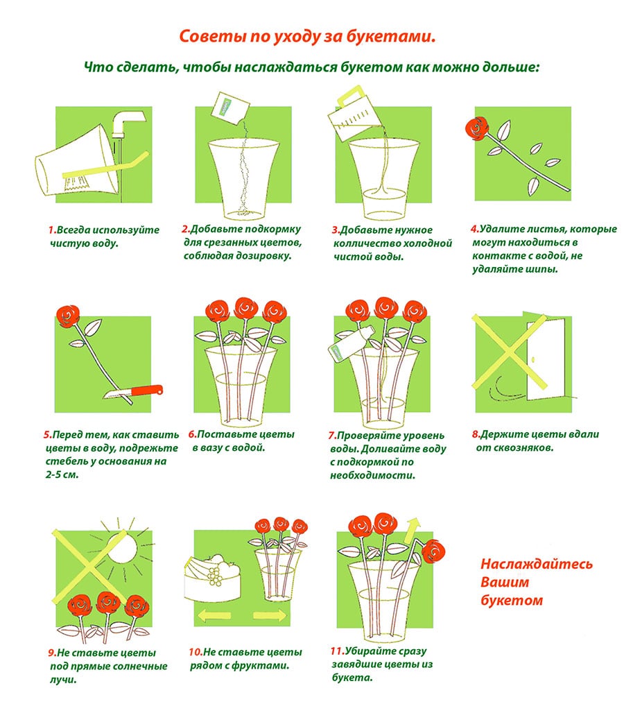 Besonderheiten bei der Auswahl und Pflege von Blumen in Ufa