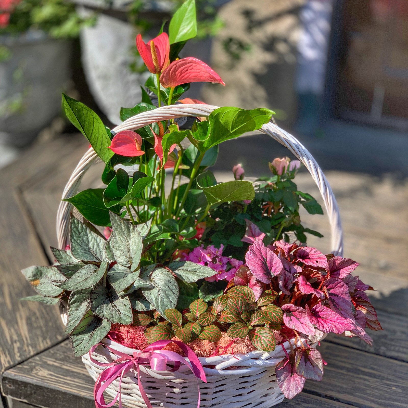 Blumenarrangements aus Zimmerpflanzen
