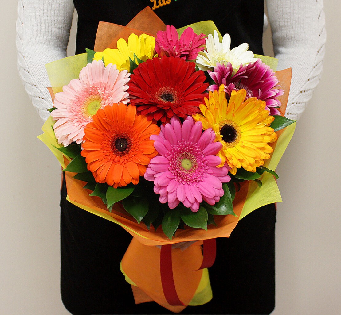 Gerbera: Sonnige Blumen der Freude und ihre idealen Sträuße