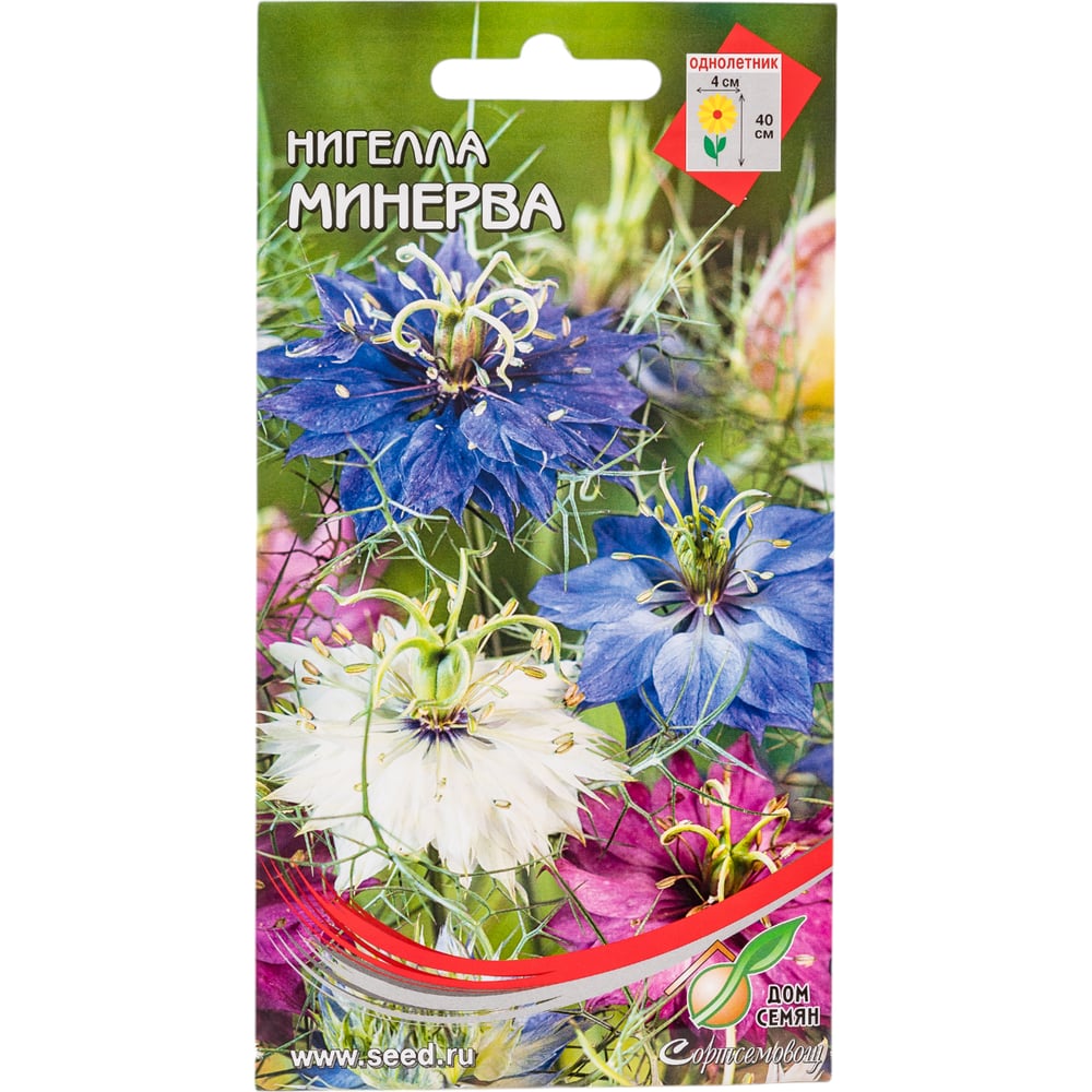 Der Anbau von Nigella ist für jeden machbar.