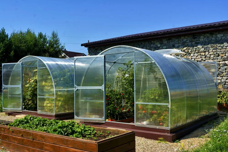 Wie pflegt man ein Gewächshaus aus Polycarbonat im Herbst?