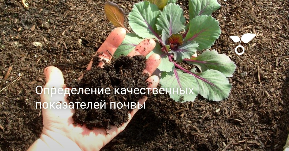 Wie kann man die Bodenart auf dem Grundstück bestimmen?