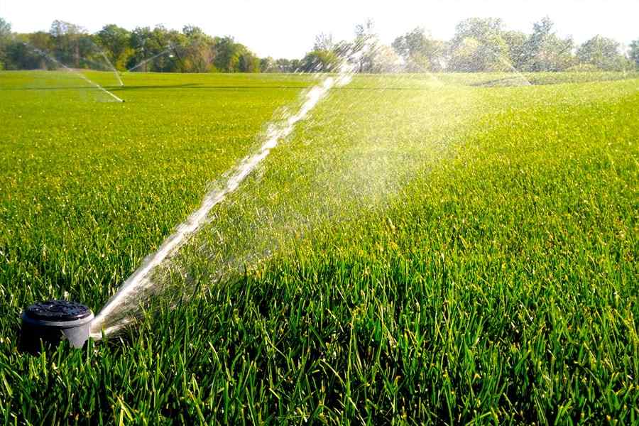 Wie man Wasser auf einem Grundstück im Grünen findet: Tipps und Methoden