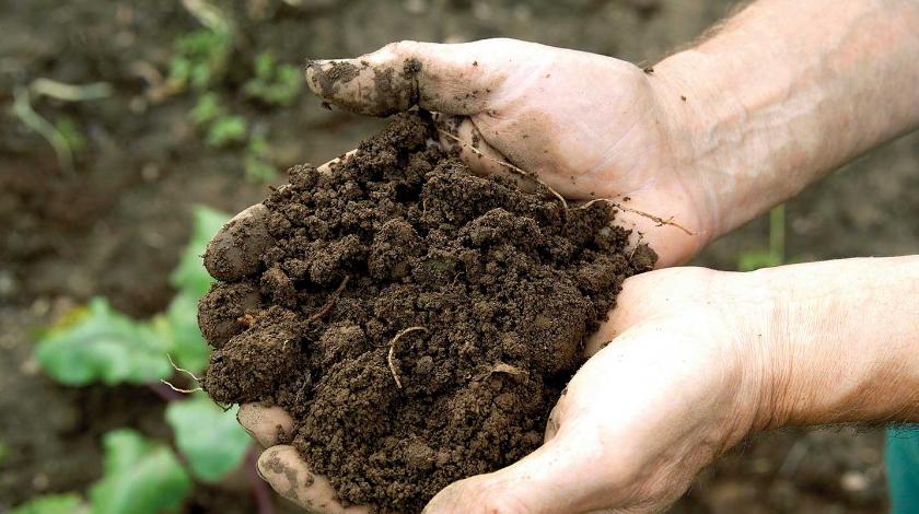 Wie kann man den Boden im Garten verbessern?