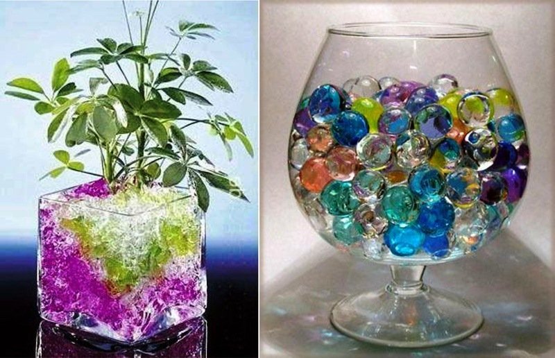 Anwendung von Hydrogel für Zimmerpflanzen