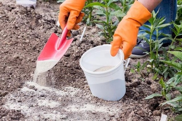Die Bodenkalkung wird durchgeführt bei