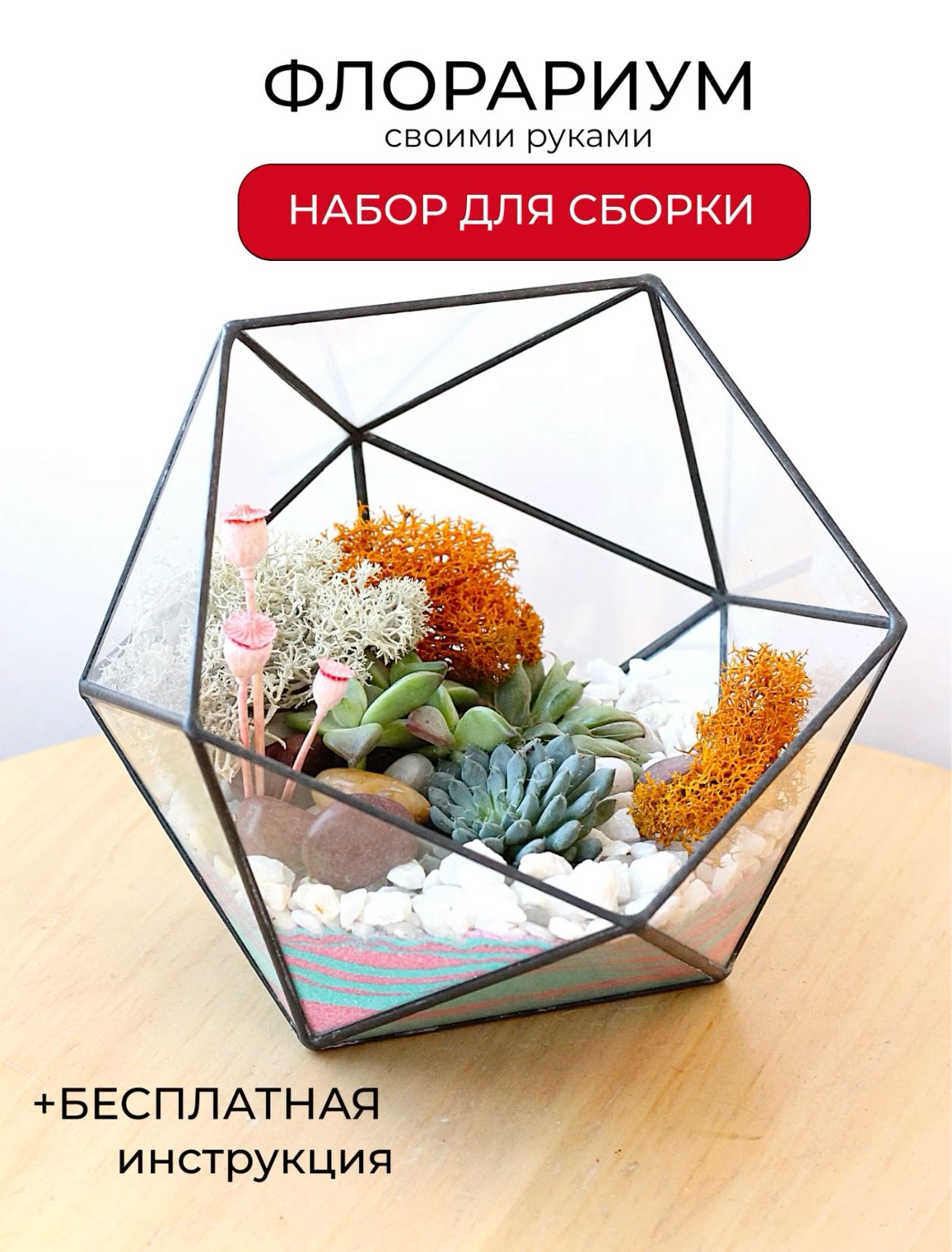 Minipflanzen für das Florarium