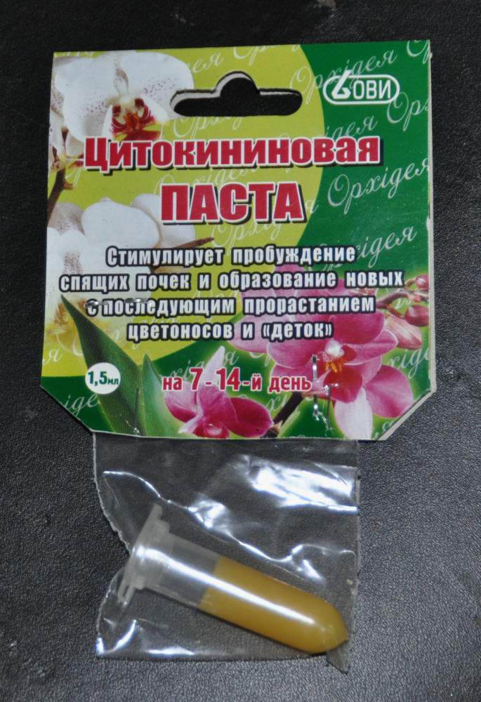 Salbe zur Vermehrung von Orchideen