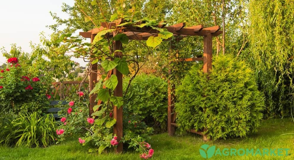 Pergola für Kletterpflanzen selbst bauen
