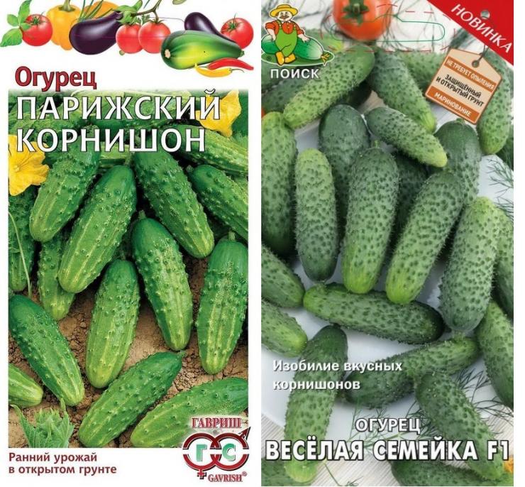 Gurken (Cornichons) – beste Sorten für das Freiland