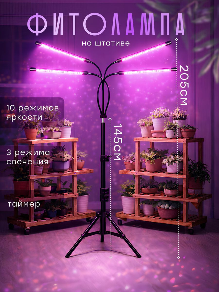 Pflanzenlampen für zu Hause