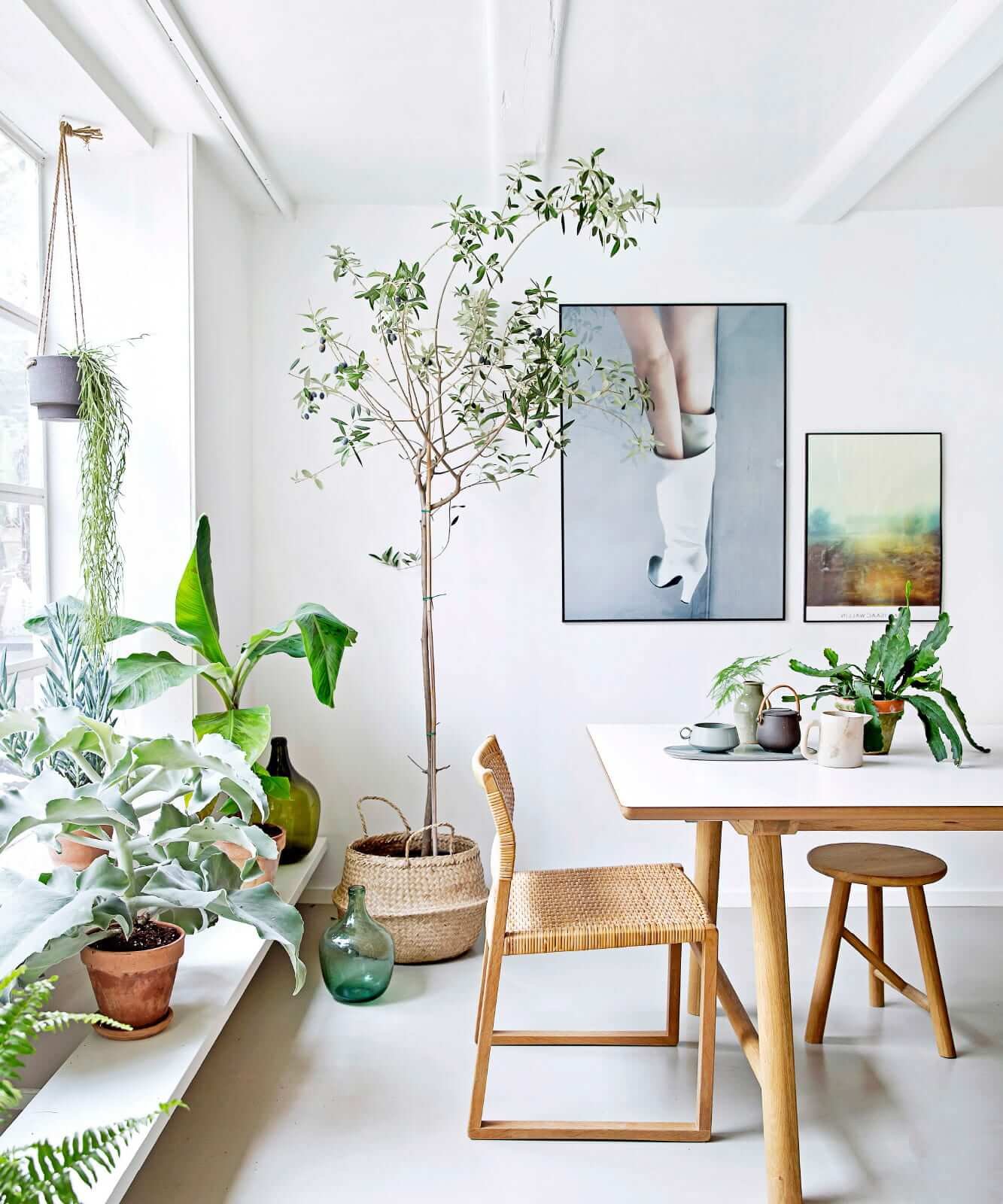 Pflanzen im skandinavischen Interieur