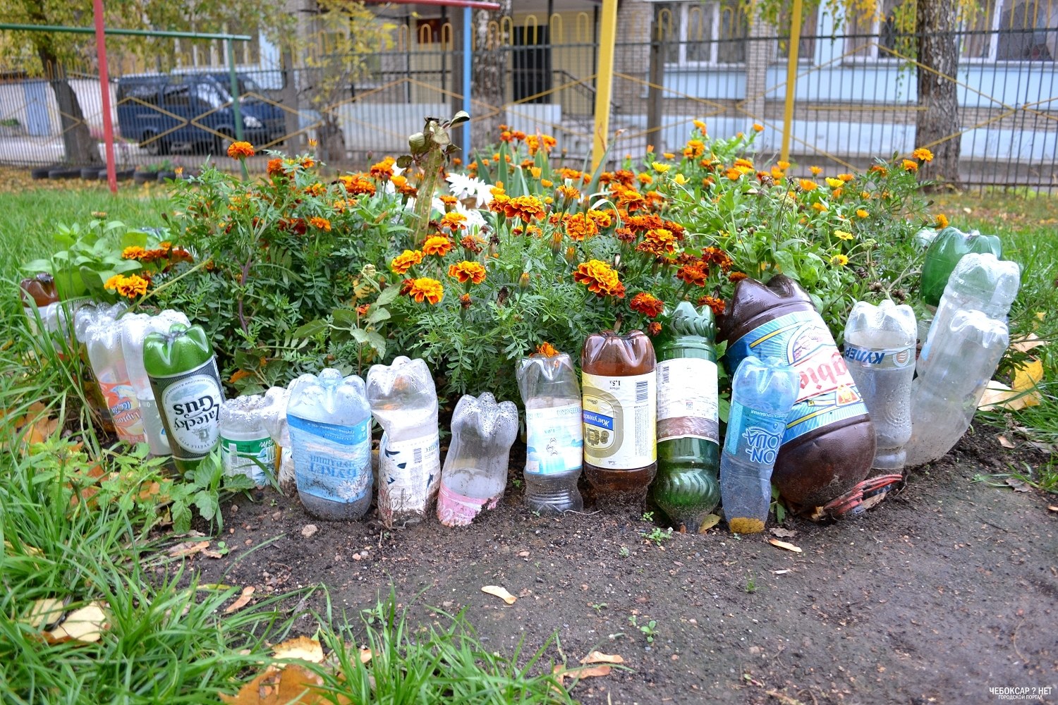 Plastikflaschen: Anwendungsbereich und Besonderheiten