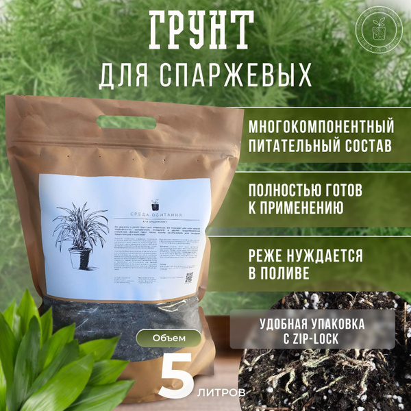 Erde für Asparagus