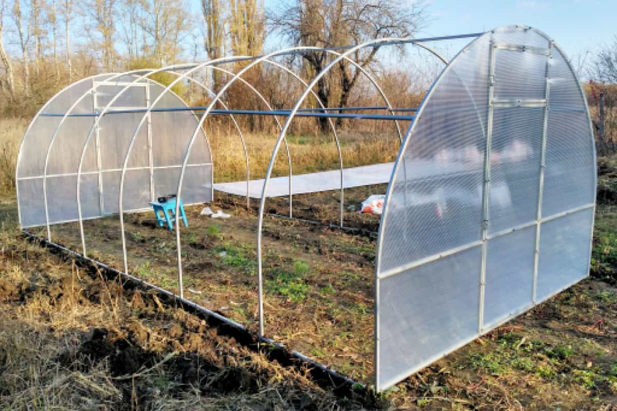 Gewächshauserde selbst herstellen