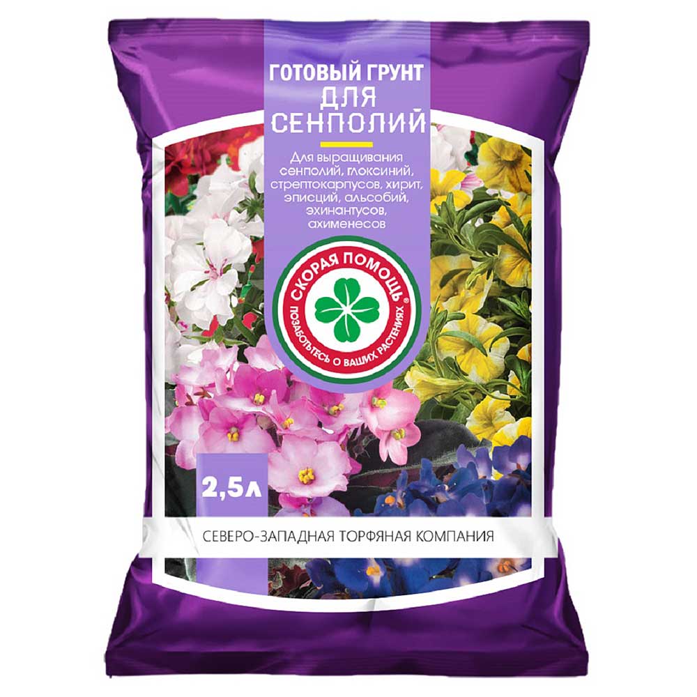 Erde für Usambaraveilchen: Für welche Blumen ist sie geeignet?