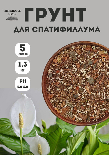 Welcher Boden eignet sich für Spathiphyllum?