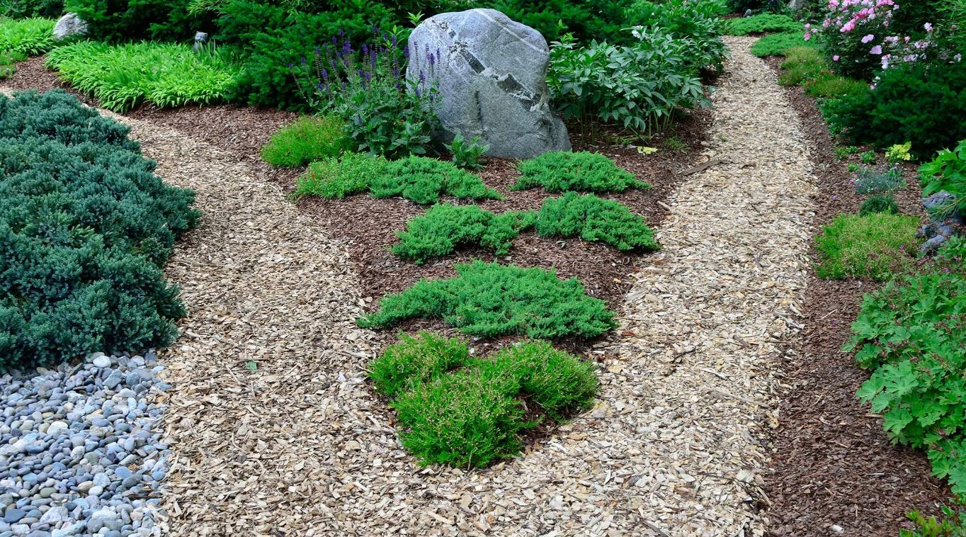Mulchen des Bodens mit gemähtem Gras