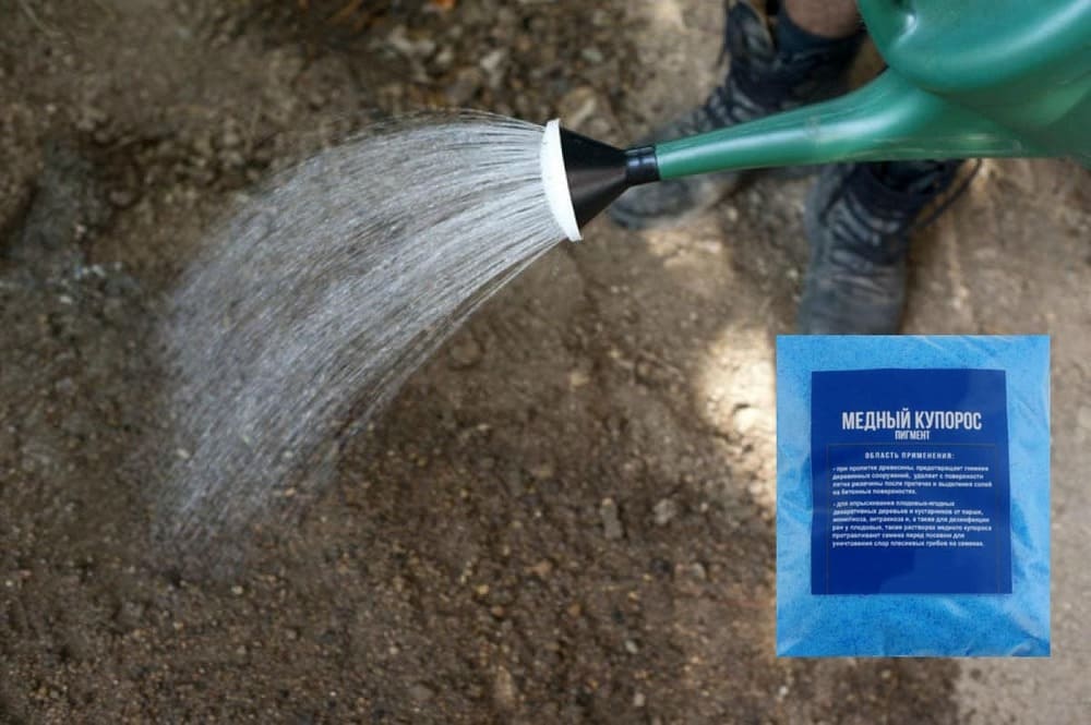 Behandlung des Bodens mit Kupfersulfat vor der Pflanzung