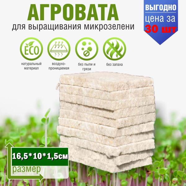 Substrat für den Anbau von Microgreens